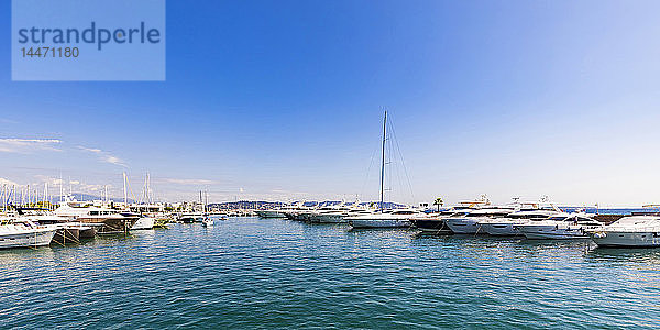 Frankreich  Provence-Alpes-Cote d'Azur  Mandelieu-la-Napoule  Yachthafen mit Motoryachten