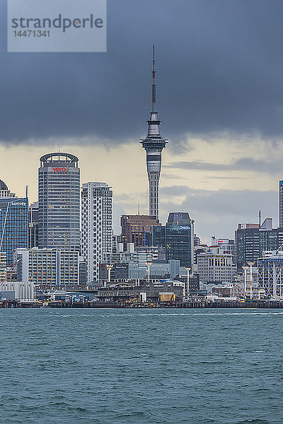 Neuseeland  Auckland  Skyline