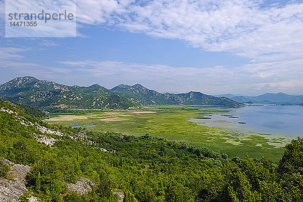 Montenegro  Skadar-See bei Virpazar