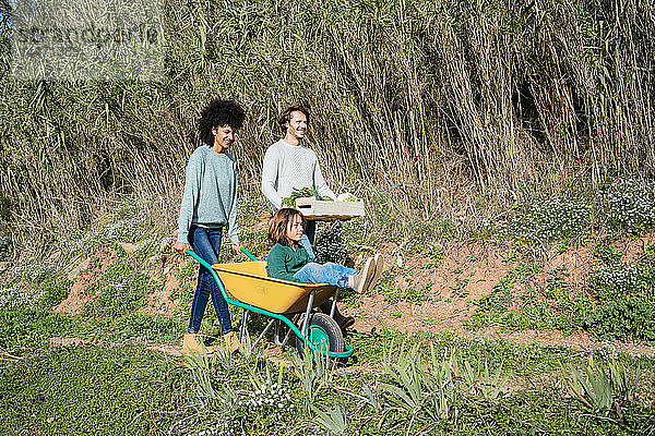 Familie geht auf einem Feldweg  schiebt Schubkarre  trägt Kiste mit Gemüse
