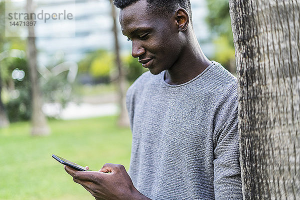 Junger Mann lehnt sich in einem Park an einen Baumstamm und benutzt ein Smartphone