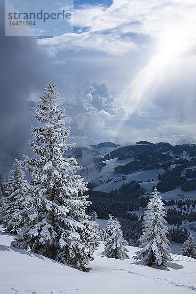 Deutschland  Bayern  Chiemgau  Chiemgauer Alpen  Sachrang  Spitzstein im Winter