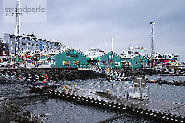 Island  Reykjavik  alter Hafen