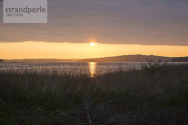 Deutschland  Rügen  Ostseeküste bei Sonnenuntergang