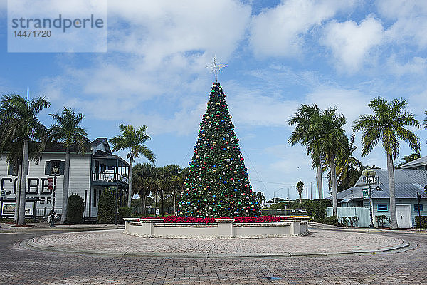 USA  Florida  Key West  Weihnachtsbaum