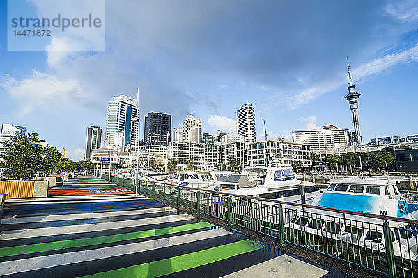 Neuseeland  Auckland  Hafen