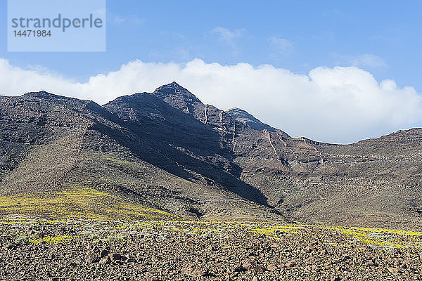 Spanien  Kanarische Inseln  Fuerteventura  Berglandschaft im Süden der Insel
