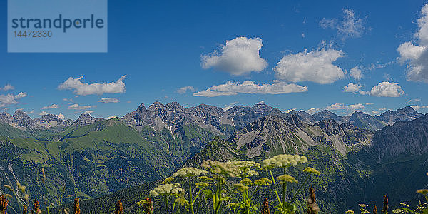 Deutschland  Bayern  Allgäu  Blick auf die Allgäuer Alpen  Panorama des Allgäuer Hauptkammes  Blick vom Fellhorn