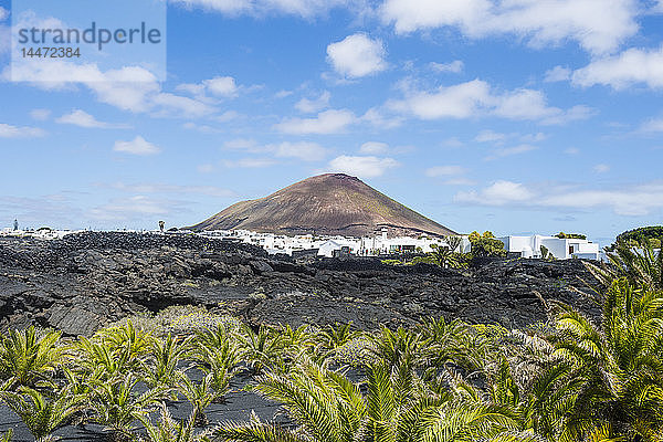 Spanien  Kanarische Inseln  Lanzarote  La Geria  Blick auf Weinanbaugebiet mit Vulkankegel im Hintergrund