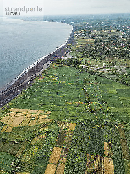 Indonesien  Bali  Keramas  Luftaufnahme des Strandes von Klotok  Reisfelder