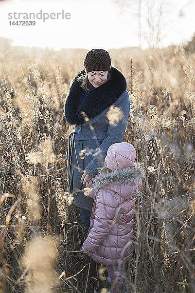 Kleines Mädchen steht Hand in Hand mit seiner Mutter auf der Herbstwiese zur goldenen Stunde