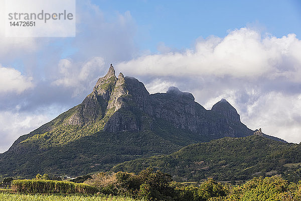 Mauritius  Hochland  Zuckerrohrfelder  Berg Pieter Beide