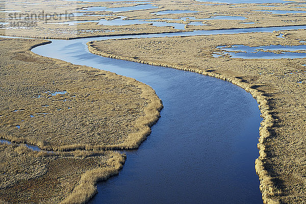 USA  Maryland  Cambridge  Blackwater National Wildlife Refuge  Blackwater River  Blackwater Refuge erfährt einen Anstieg des Meeresspiegels  der diesen Sumpf überflutet