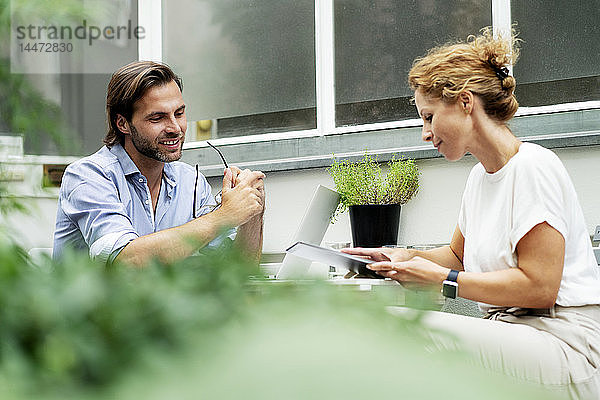 Glückliches Paar  das von zu Hause aus arbeitet und in seinem Garten sitzt