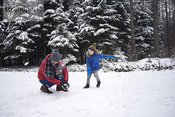 Vater und kleiner Sohn bei einer Schneeballschlacht im Winterwald