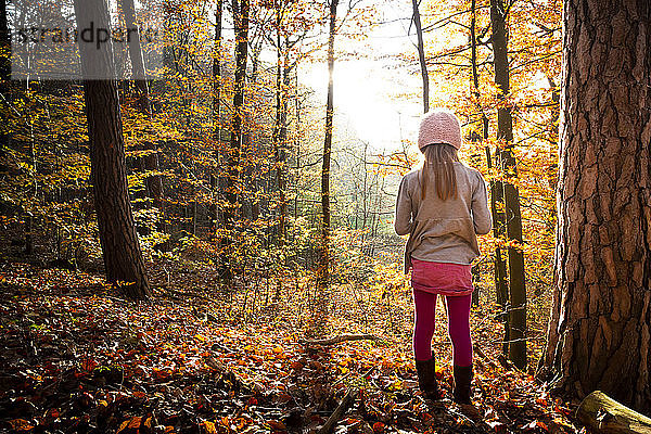 Junges Mädchen steht allein im Herbstwald  Rückansicht