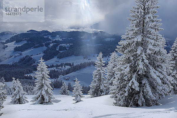 Deutschland  Bayern  Chiemgau  Chiemgauer Alpen  Sachrang  Spitzstein im Winter
