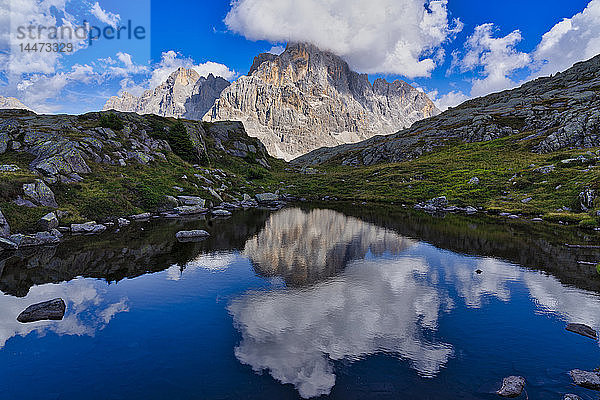 Italien  Venetien  Dolomiten  Fleimser Berge  Cimon della Pala  spiegelt sich in einem kleinen See