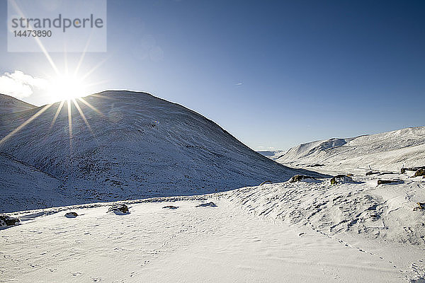 Vereinigtes Königreich  Schottland  Glenshee im Winter gegen die Sonne