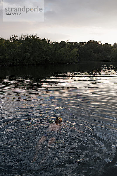 Älterer Mann schwimmt bei Sonnenuntergang in einem See