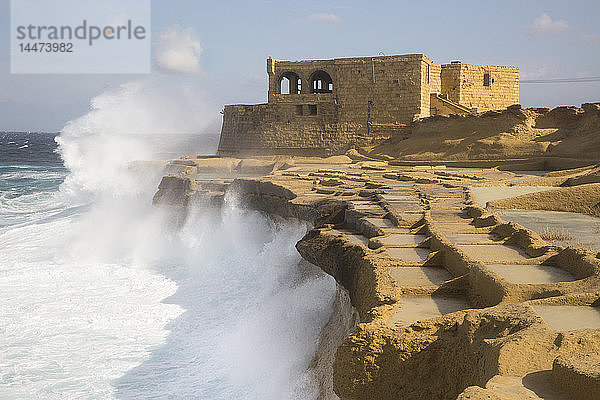 Malta  Gozo  Salzpfannen und Haus