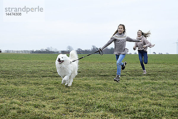 Zwei Mädchen rennen mit Hund auf einer Wiese und amüsieren sich