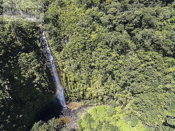 Mauritius  Black River Gorges National Park  Luftaufnahme des Wasserfalls Mare Aux Joncs
