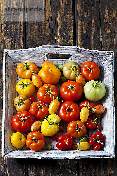 Holzschale mit verschiedenen Tomatensorten