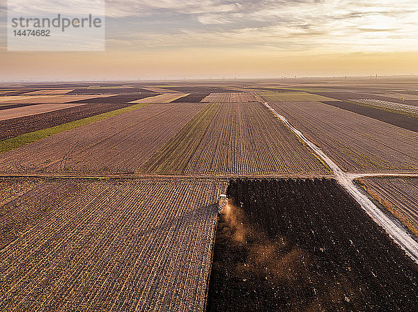 Serbien  Vojvodina. Traktor-Pflugplatz am Abend