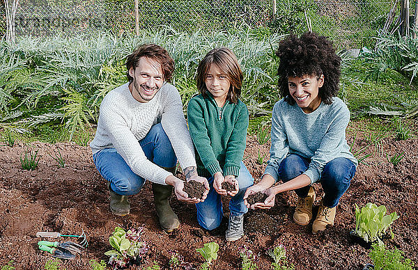 Familie pflanzt Salatsetzlinge im Gemüsegarten  Hände zeigen  voller Erde