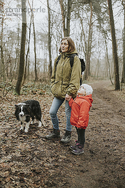 Deutschland  Mannheim  Mutter und Tochter mit Border Collie im Wald
