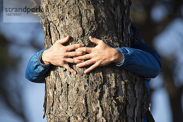 Hände eines Mannes  der einen Baum umarmt