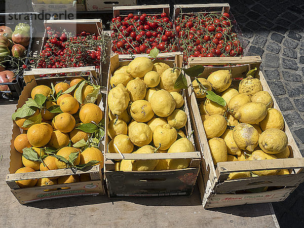 Italien  Ischia  Kisten mit frischen Zitronen und Tomaten auf der Piazza Marina