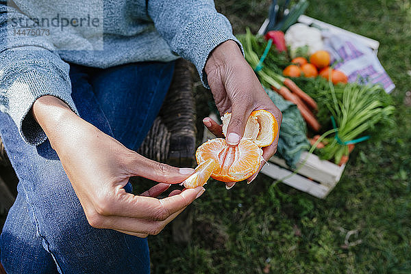 Frau schält eine Mandarine  macht eine Pause in einem Gemüsegarten