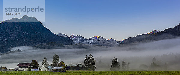 Deutschland  Bayern  Oberallgäu  Loretto-Wiesen bei Oberstdorf mit Morgennebel und Bergen im Hintergrund