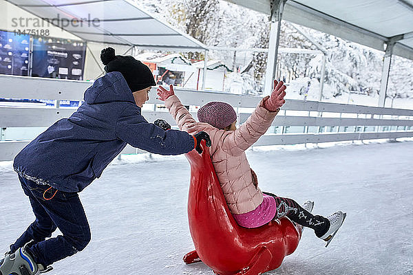 Bruder schiebt Schwester auf der Eisbahn  sitzt auf Robbenschlitten