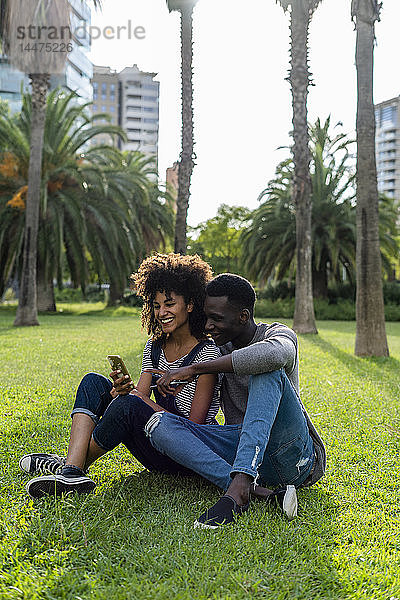 Glückliches Paar sitzt auf einem Rasen in einem Park und benutzt ein Smartphone