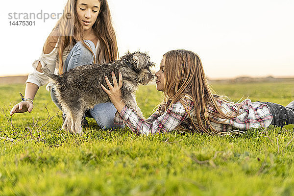 Zwei Mädchen spielen mit Hund auf einer Wiese