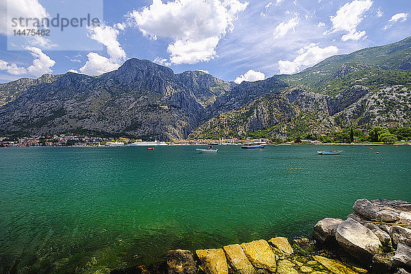 Montenegro  Bucht von Kotor  Kotor