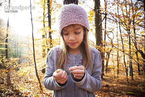 Junges Mädchen mit Buchennüssen im Herbstwald