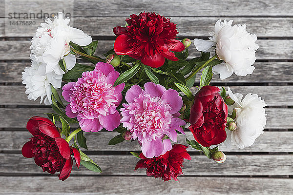 Bund weißer  roter und rosa Pfingstrosen