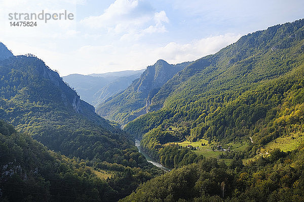 Montenegro  Provinz Pljevlja  Durmitor-Nationalpark  Tara-Schlucht  Blick von der Tara-Brücke von Durdevica