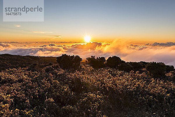 Reunion  Nationalpark von Reunion  Maido-Aussichtspunkt  Blick vom Vulkan Maido auf Wolkenmeer und Sonnenuntergang