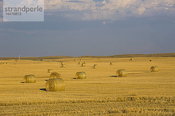 USA  Wyoming  Strohballen auf einem Feld