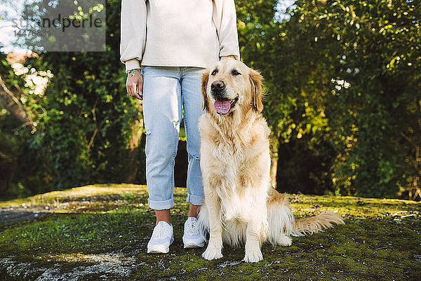 Frau neben Golden-Retriever-Hund auf einer Wiese sitzend