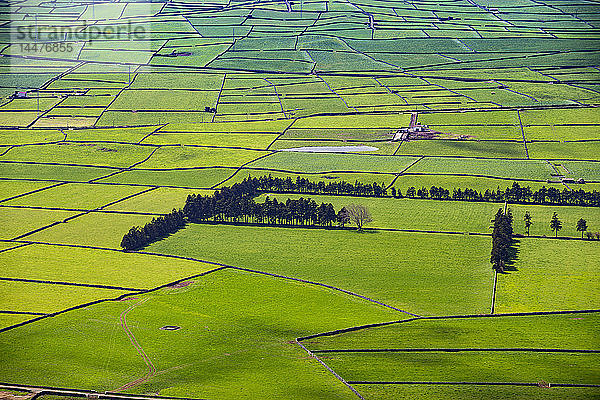 Portugal  Azoren  Insel Terceira  Miradouro da Serra do Cume