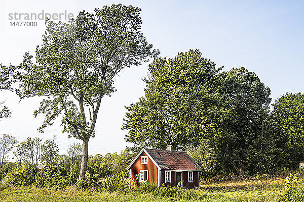 Schweden  Oeland  rotes Holzhaus