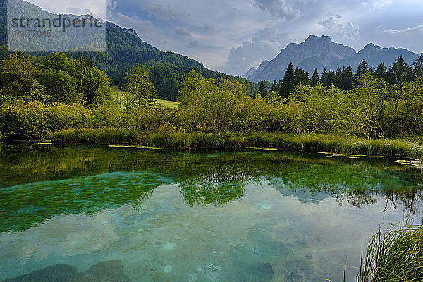 Slowenien  Gorenjska  bei Ratece  Sava Dolinka  Quelle  Zelenci-See