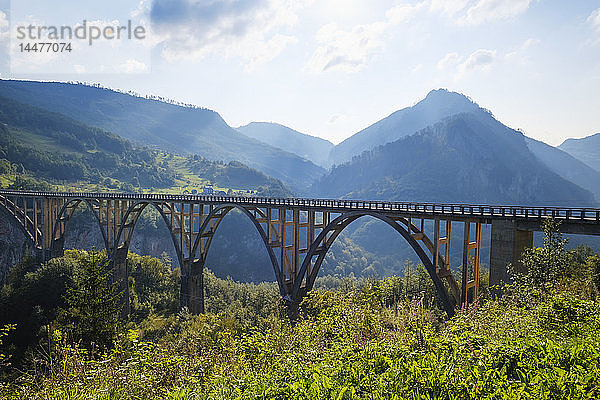 Montenegro  Provinz Pljevlja  Durmitor-Nationalpark  Tara-Schlucht  Tara-Brücke von Durdevica