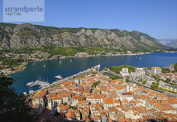 Montenegro  Bucht von Kotor  Kotor  Altstadt  Blick von der Festung Sveti Ivan